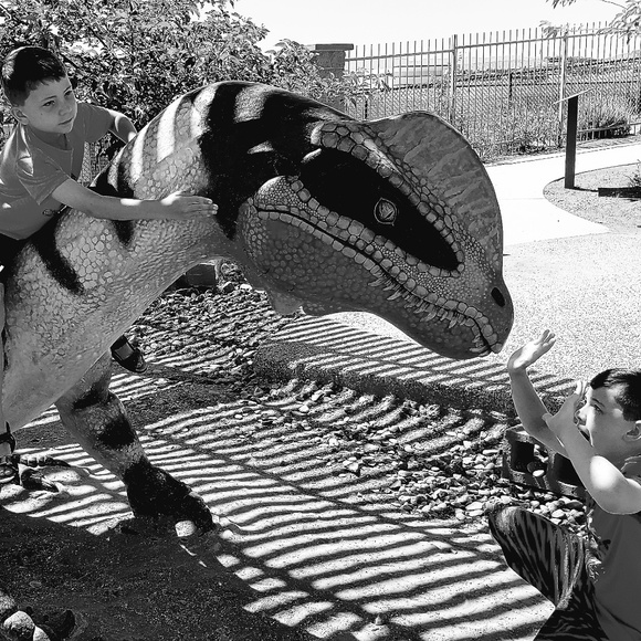 Meet your Posher, Wendy - Picture 4 of 6